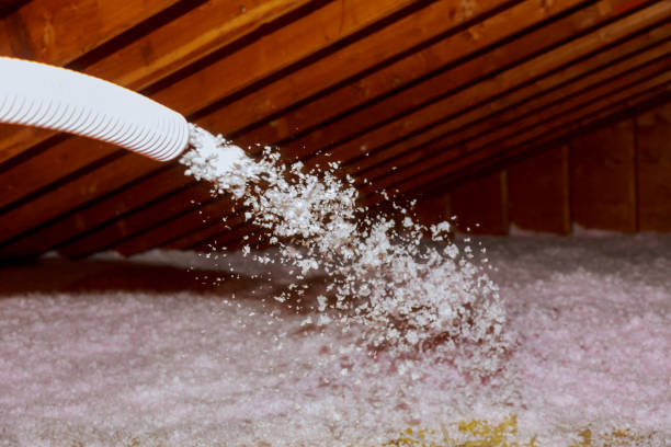 Best Insulation Contractor Near Me  in Lewiston, UT