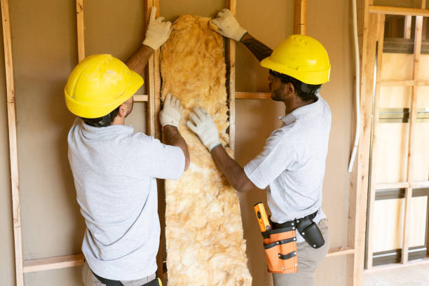 Best Home Insulation Services  in Lewiston, UT