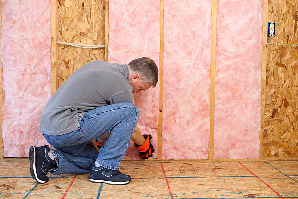Best Local Insulation Services  in Lewiston, UT