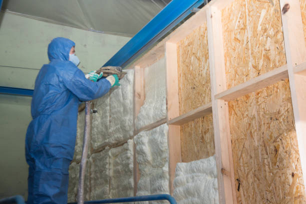 Best Fiberglass Insulation  in Lewiston, UT